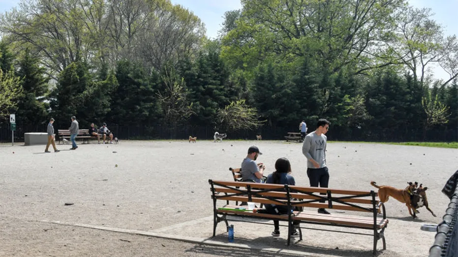 Deadly Stabbing at Brooklyn's Dyker Beach Park Claims One Life, Critically Injures Another