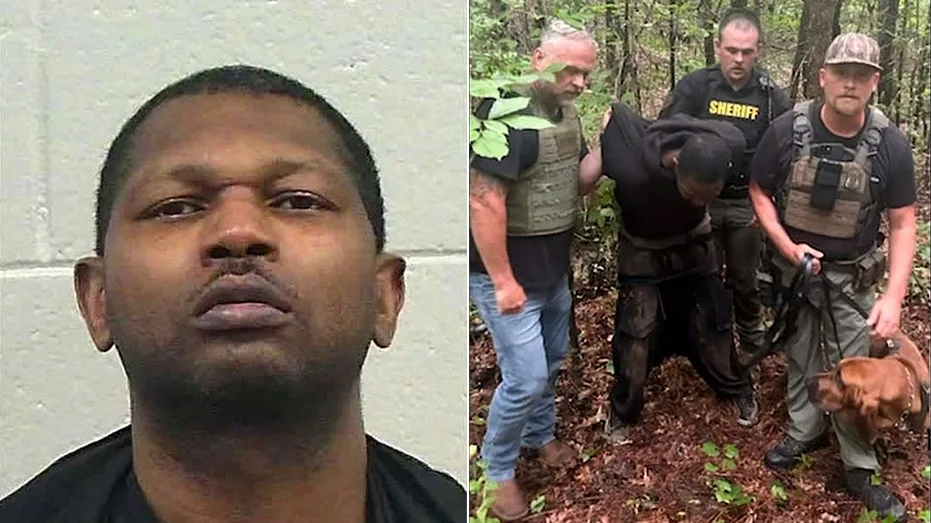 Georgia Manhunt Concludes with Arrest After Bloodhound K-9 Tracks Suspect in Domestic Incident